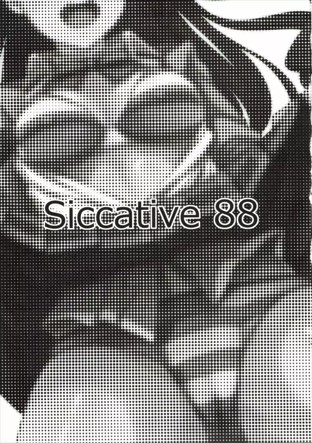 Siccative 88 Page.2
