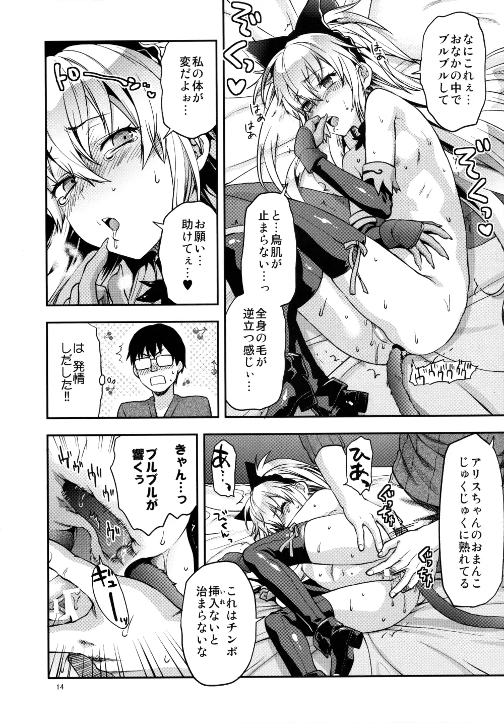 ALICE IN 俺の部屋 Page.14