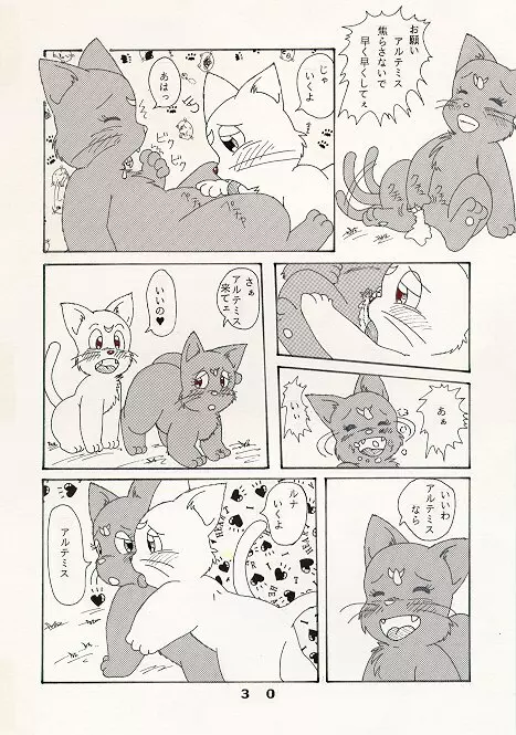 だって猫なんだモン！ Page.6