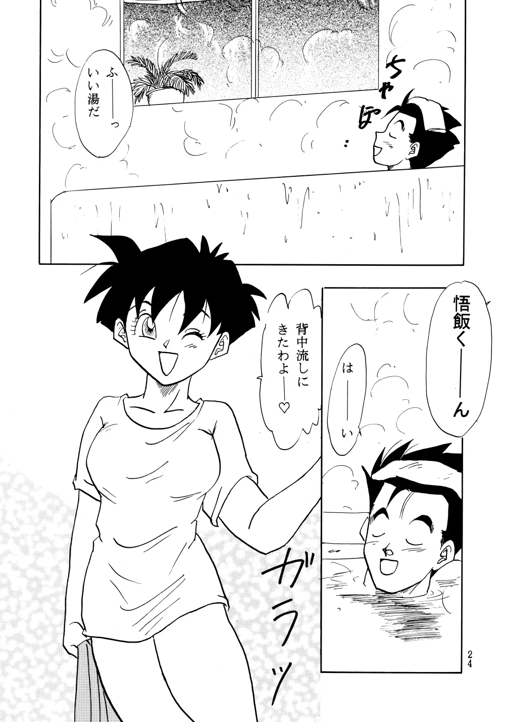 Z Page.24