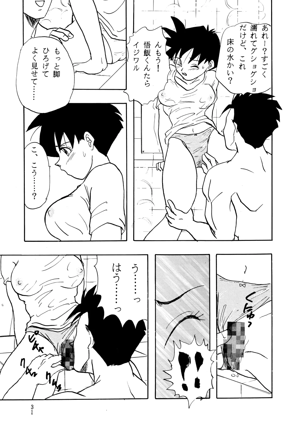 Z Page.31