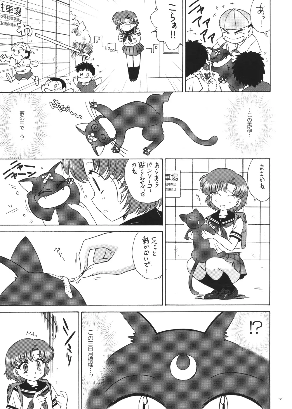 SUBMISSION-R RE・MERCURY Page.6