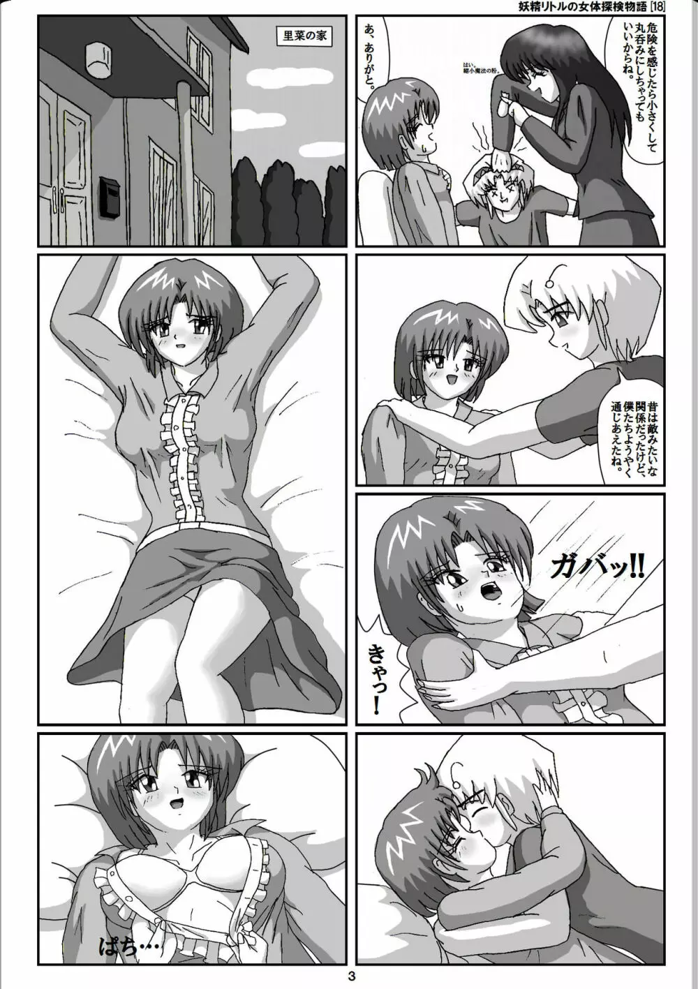 妖精リトルの女体探検物語 18 Page.3