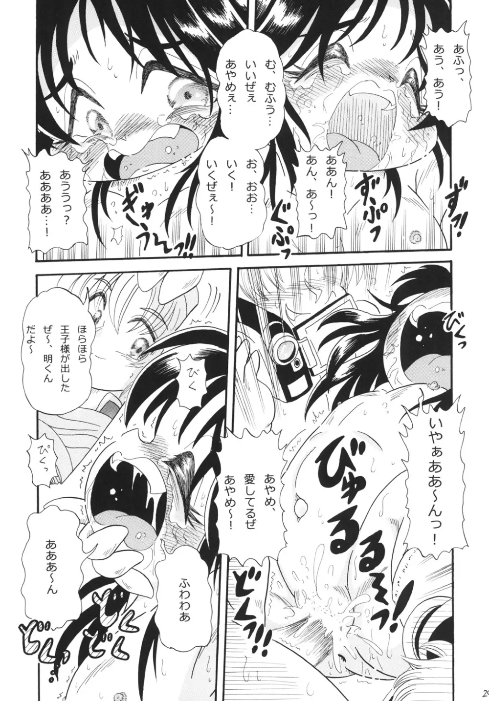 あやめの晴れ舞台 Page.29