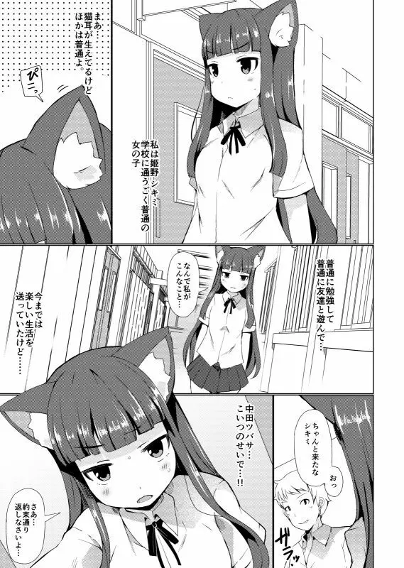 姫野シキミは肉便器 Page.43