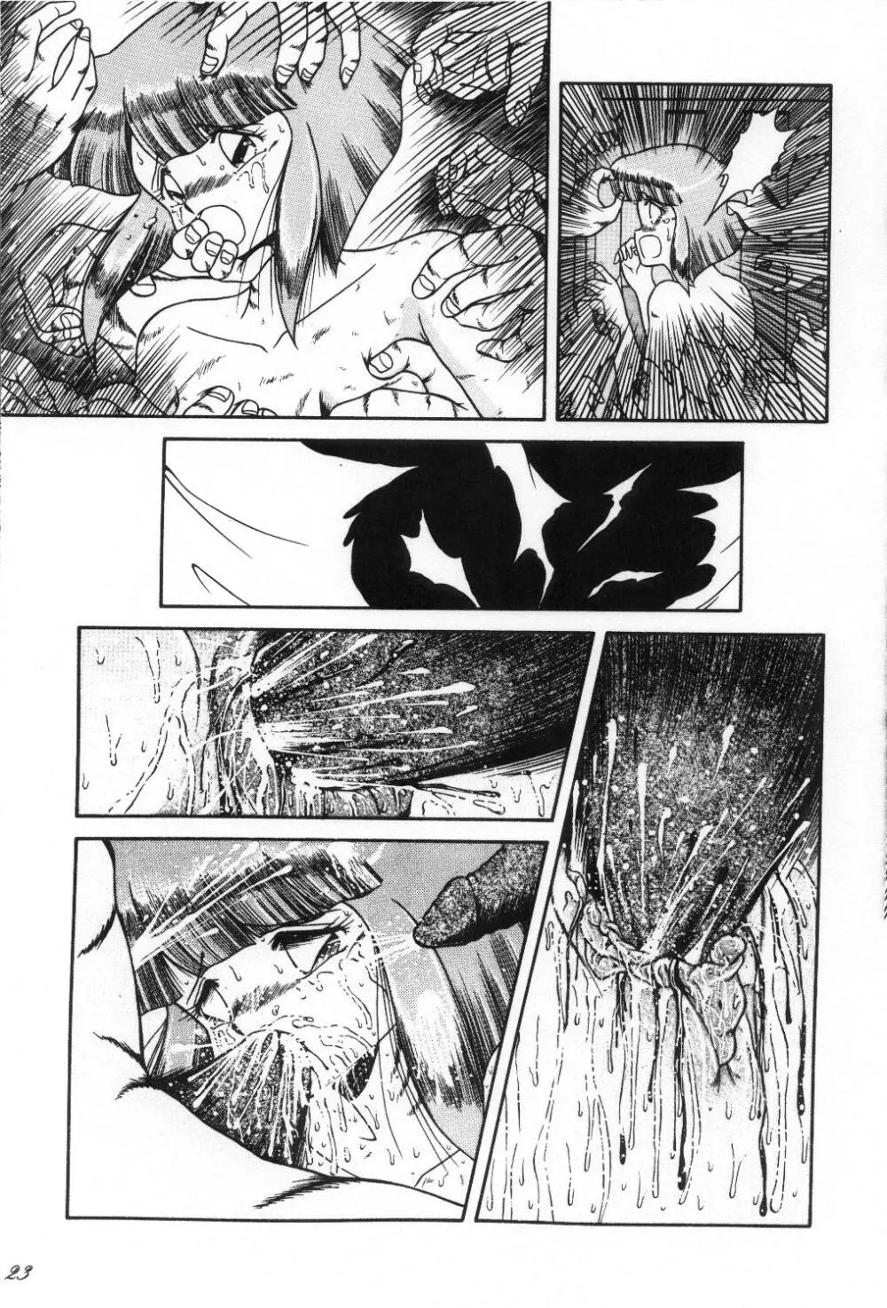 Cat's Mate RX Page.24