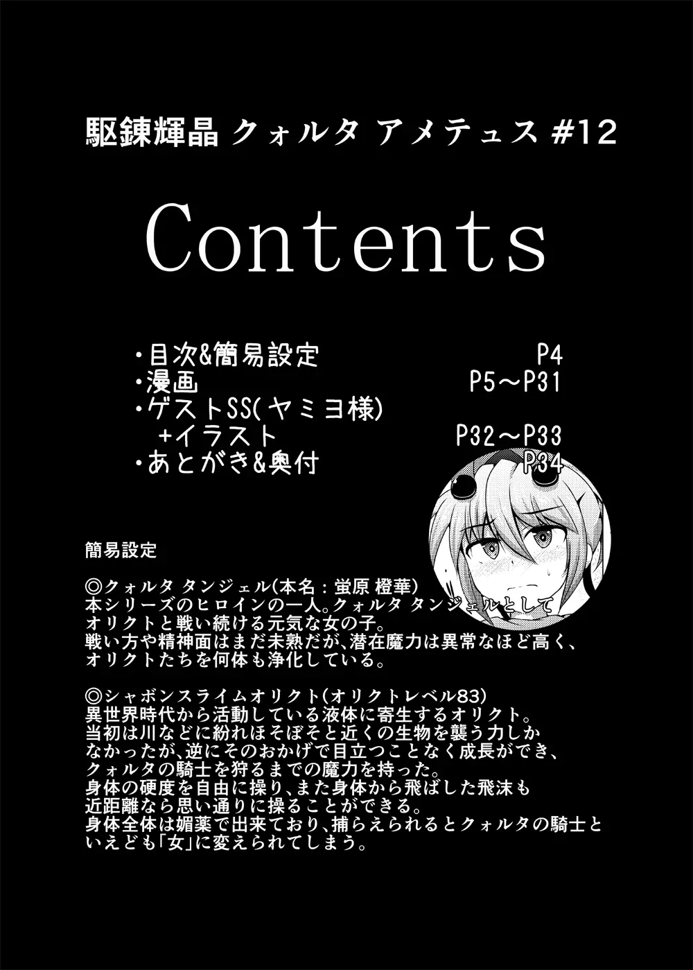 駆錬輝晶 クォルタ アメテュス #12 Page.3