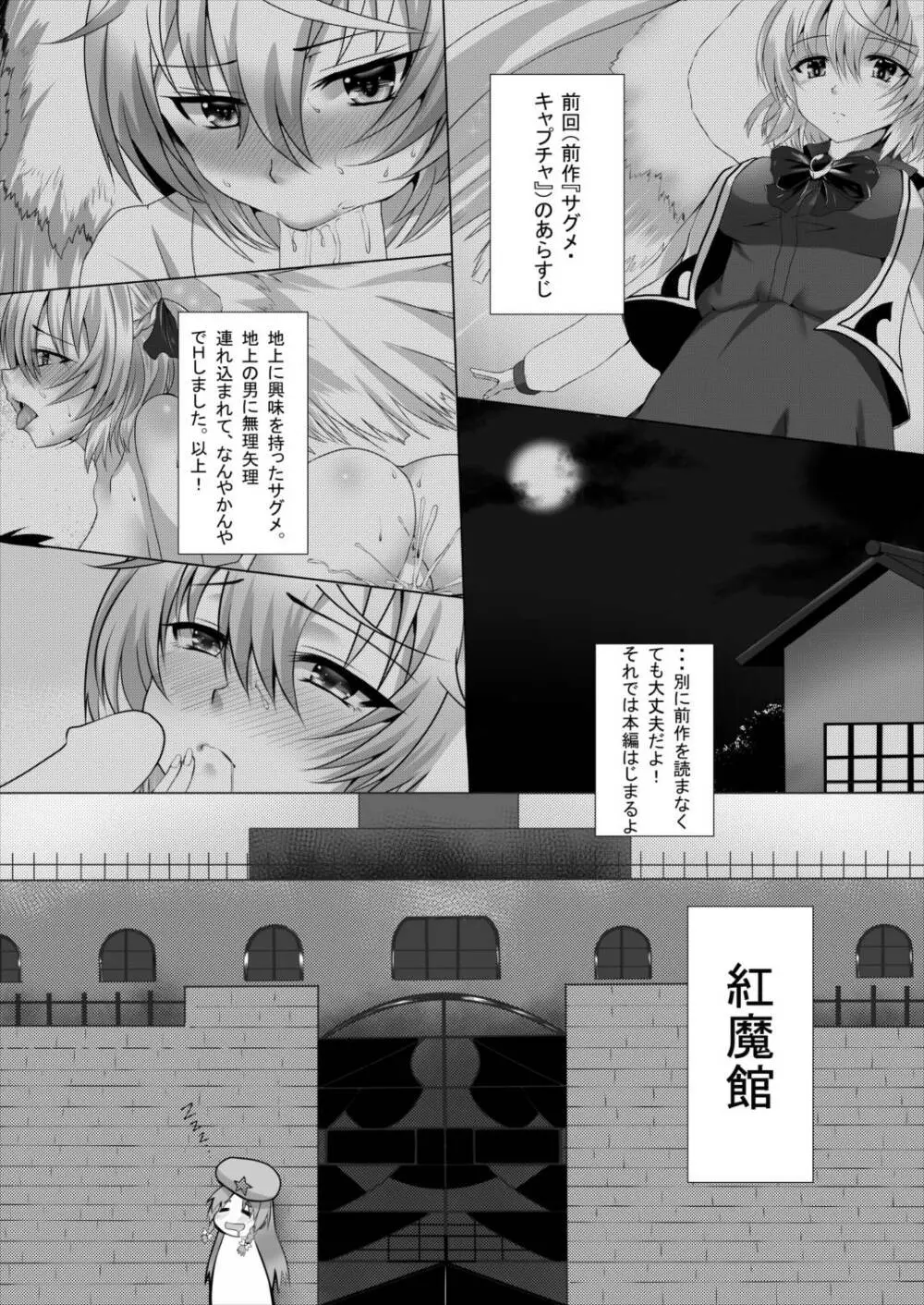 サグメ・キャプチャ2 Page.2