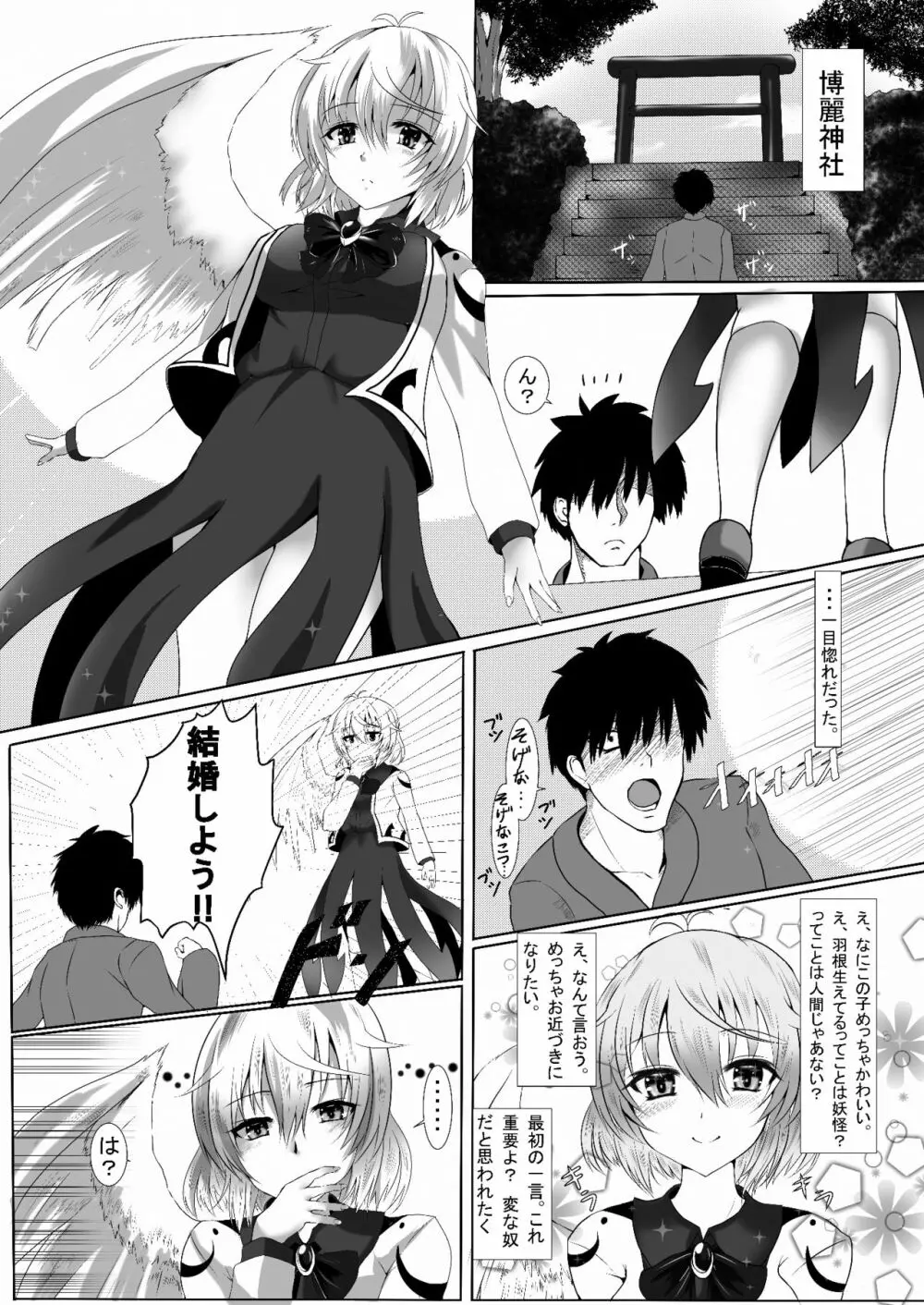 サグメ・キャプチャ Page.2