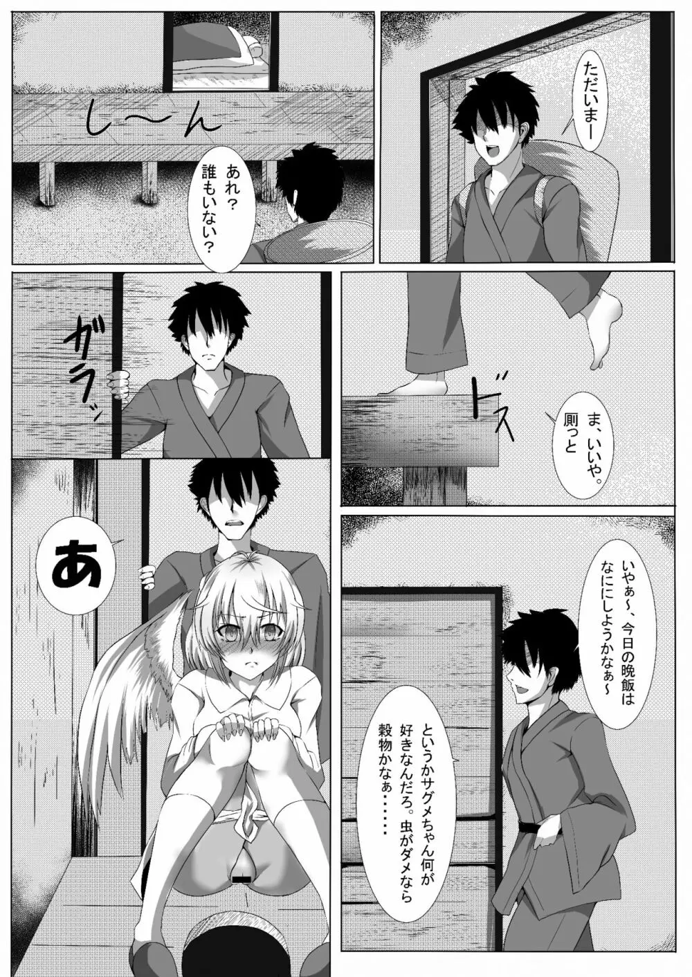 サグメ・キャプチャ Page.5