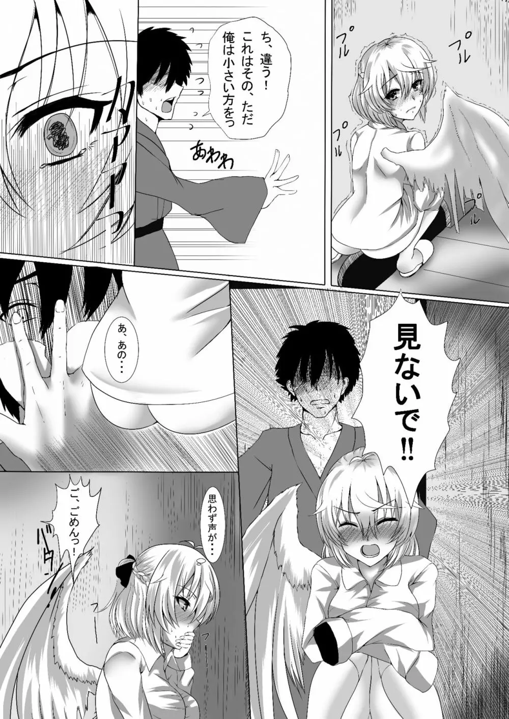 サグメ・キャプチャ Page.6