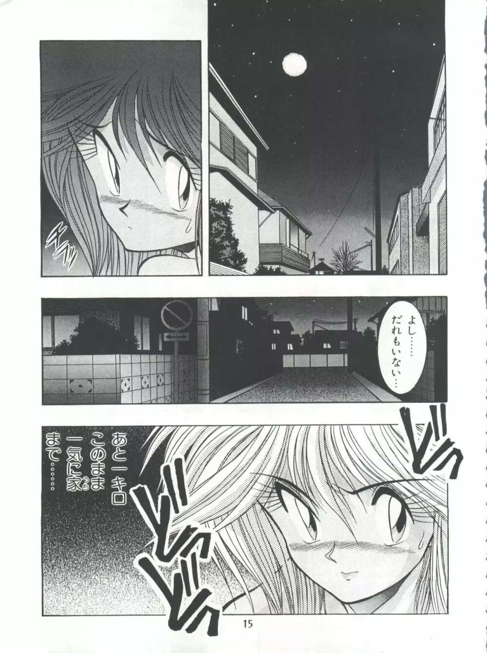 片励会スペシャル Vol.7 Page.14