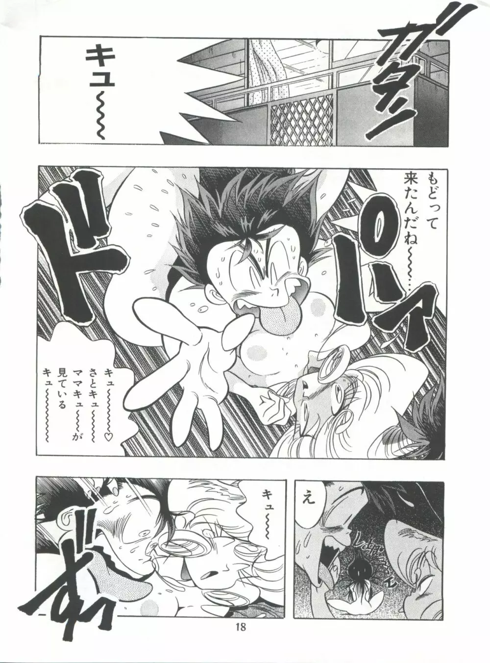 片励会スペシャル Vol.7 Page.17