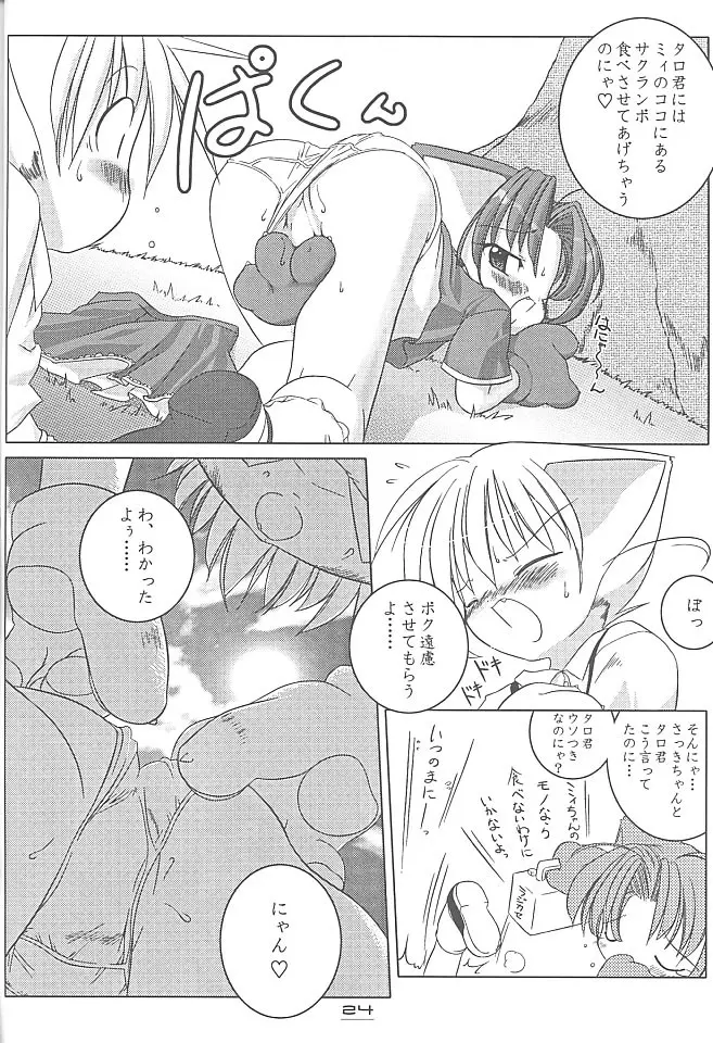 MIRACLE SWEET DREAM Page.23